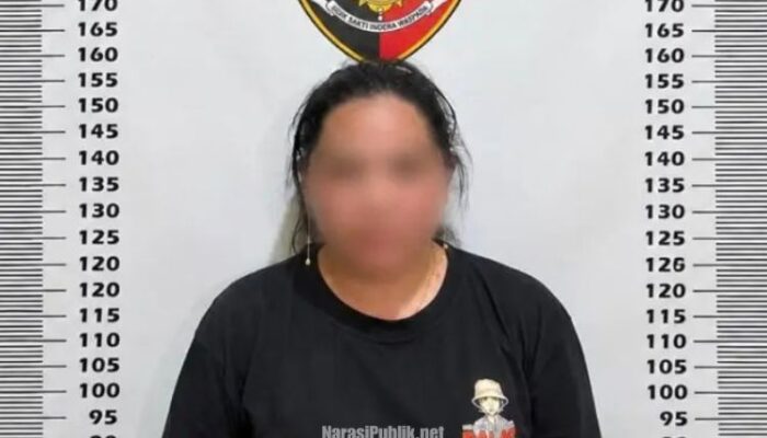 Miliki 50 Gram Sabu, Wanita di Tanah Bumbu Dibekuk Polsek Kusan Hilir