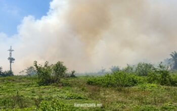 Karhutla di Kabupaten HSS merembet ke kawasan Hutan Kota Kandangan, 0,5 Hektare terbakar api. (Dok: Narasi Publik)