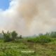 Hutan Kota di Kandangan Terdampak Karhutla, Api Sempat Bakar 0,5 Hektare