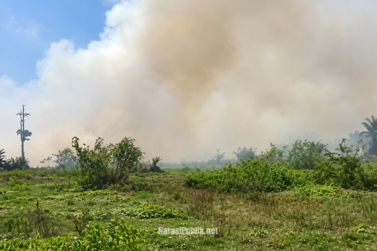 Karhutla di Kabupaten HSS merembet ke kawasan Hutan Kota Kandangan, 0,5 Hektare terbakar api. (Dok: Narasi Publik)