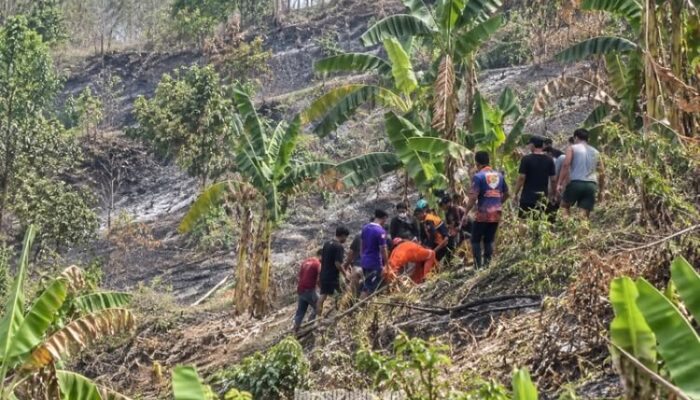 Terkepung Api Saat Padamkan Karhutla, Warga Samarinda Tewas Terbakar