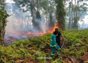 BPBD HSS Terima Banpres Rp5,9 Miliar untuk Perkuat Operasional Penanganan Karhutla