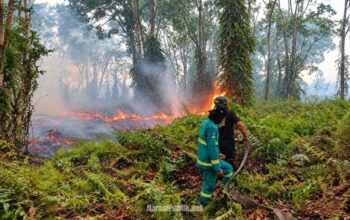 Relawan gabungan melakukan pemadaman terhadap Karhutla di wilayah Kabupaten HSS. (Dok: Istimewa)