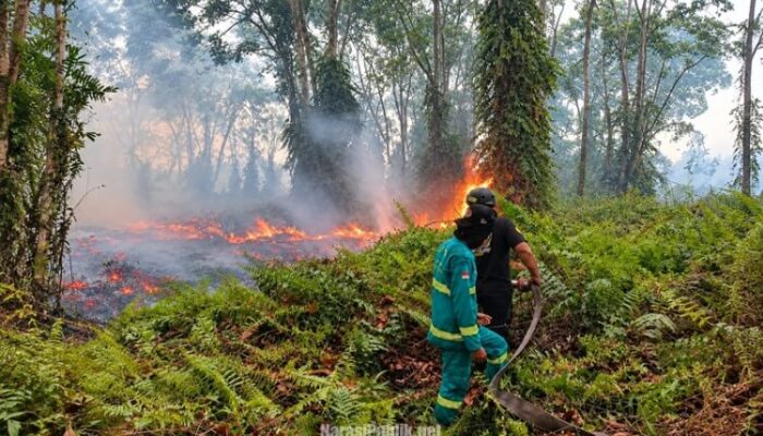 BPBD HSS Terima Banpres Rp5,9 Miliar untuk Perkuat Operasional Penanganan Karhutla
