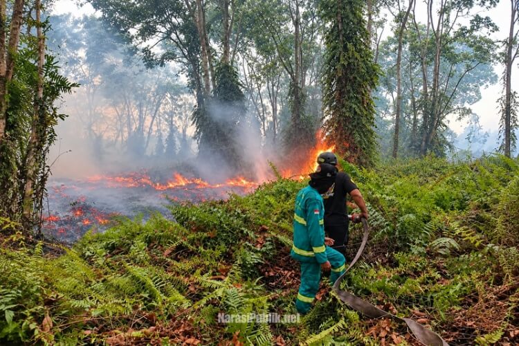 Relawan gabungan melakukan pemadaman terhadap Karhutla di wilayah Kabupaten HSS. (Dok: Istimewa)